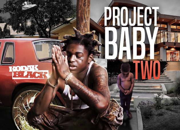 Climbing Fan Halts Kodak Black Concert