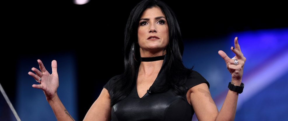 NRA Spokeswoman Dana Loesch Hates Against Neil Young