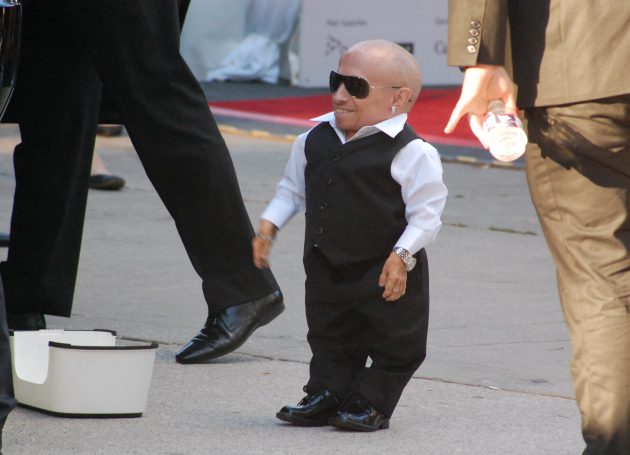 Verne Troyer's Death Ruled Suicide By Alcohol Intoxication