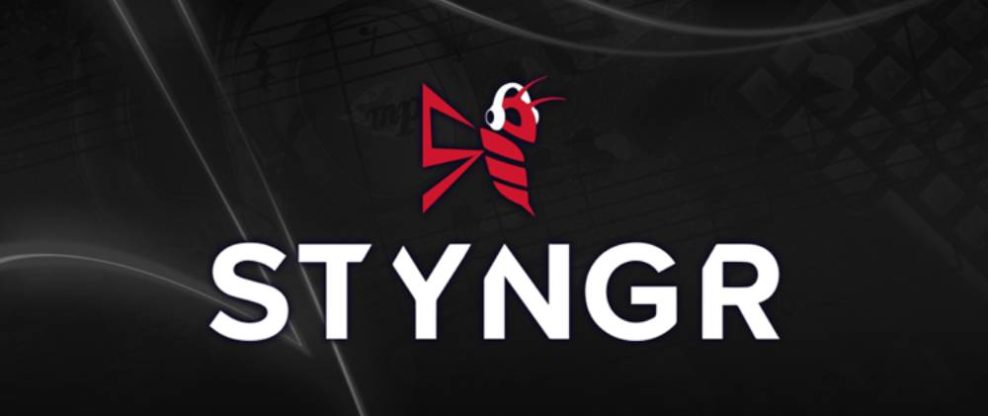 Warner Music Group Partners with Styngr for Music Licensing to Game Developers