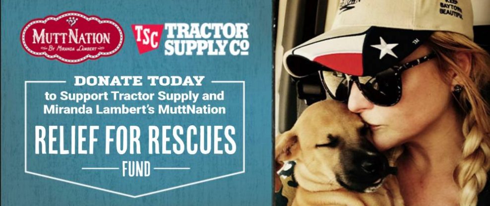 Miranda Lambert's MuttNation & Tractor Supply Launch 'Relief for Rescues Fund'