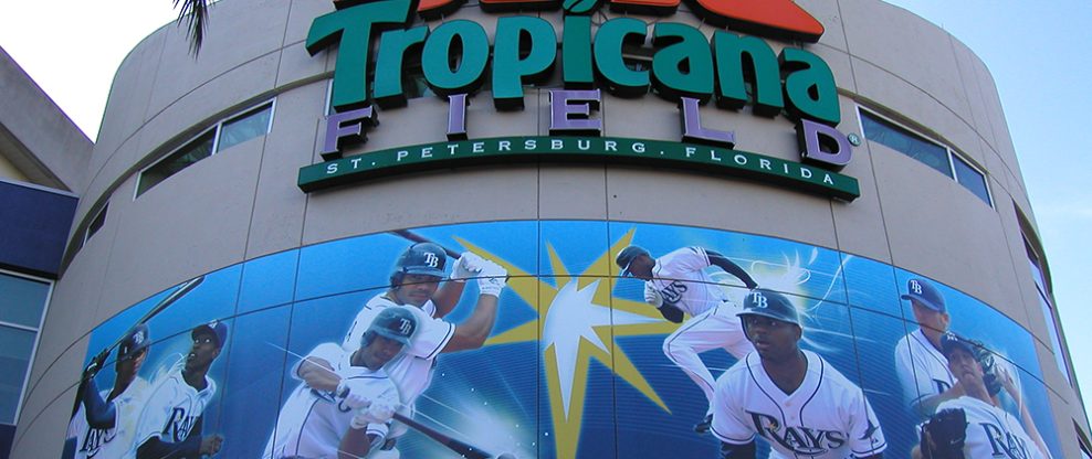 A Day at the Tampa Bay Rays  Visit St Petersburg Clearwater Florida