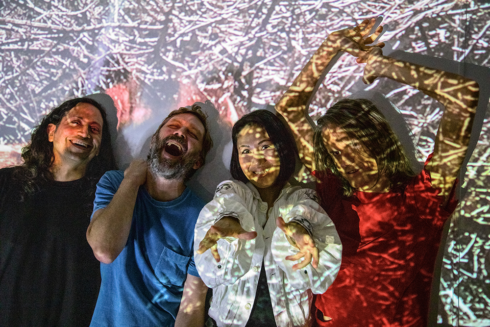 Deerhoof